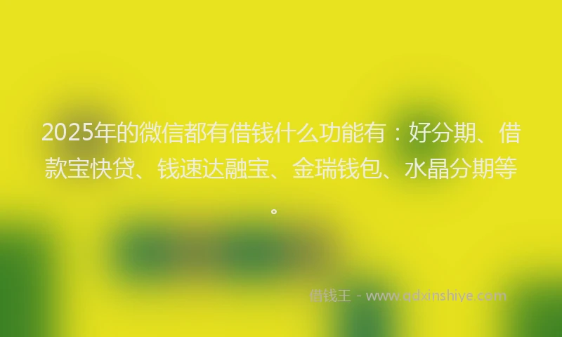 2025年的微信都有借钱什么功能有：好分期、借款宝快贷、钱速达融宝、金瑞钱包、水晶分期等。