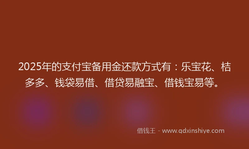 2025年的支付宝备用金还款方式有：乐宝花、桔多多、钱袋易借、借贷易融宝、借钱宝易等。
