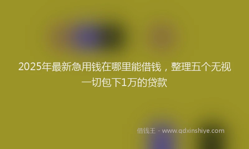 2025年最新急用钱在哪里能借钱，整理五个无视一切包下1万的贷款
