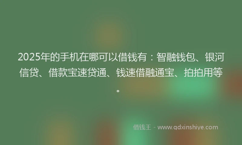 2025年的手机在哪可以借钱有：智融钱包、银河信贷、借款宝速贷通、钱速借融通宝、拍拍用等。