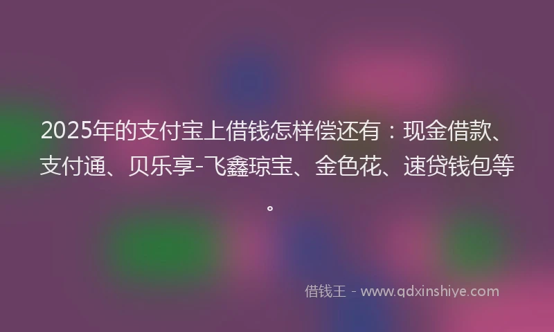2025年的支付宝上借钱怎样偿还有：现金借款、支付通、贝乐享-飞鑫琼宝、金色花、速贷钱包等。