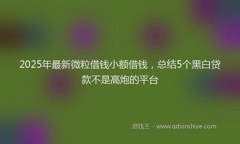2025年最新微粒借钱小额借钱，总结5个黑白贷款不是高炮的平台