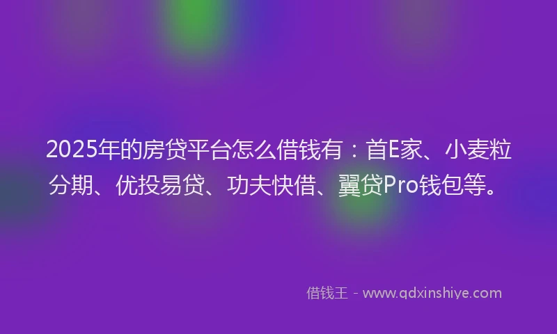 2025年的房贷平台怎么借钱有：首E家、小麦粒分期、优投易贷、功夫快借、翼贷Pro钱包等。