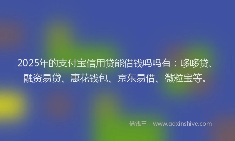 2025年的支付宝信用贷能借钱吗吗有：哆哆贷、融资易贷、惠花钱包、京东易借、微粒宝等。