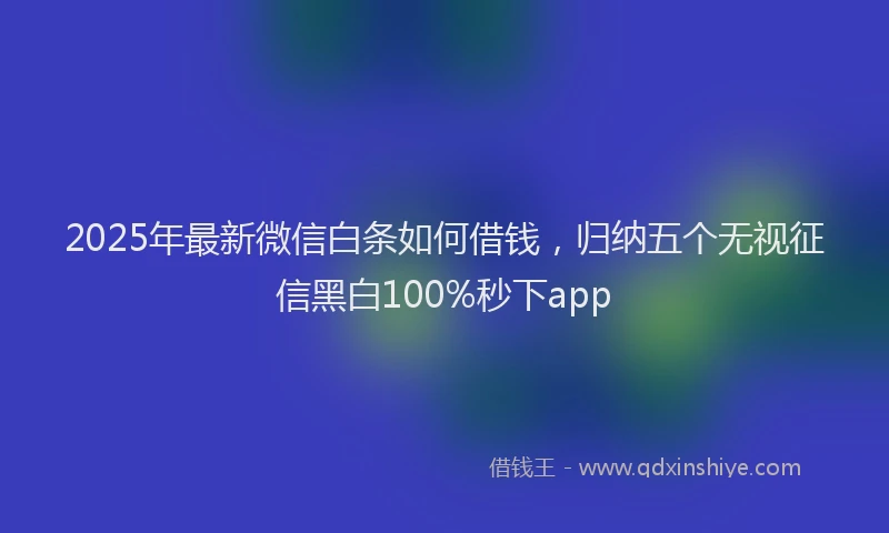 2025年最新微信白条如何借钱，归纳五个无视征信黑白100%秒下app