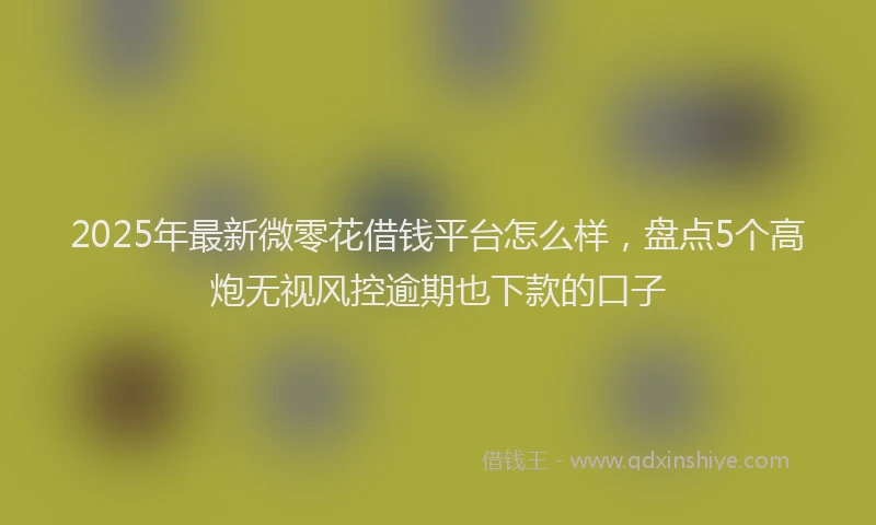 2025年最新微零花借钱平台怎么样，盘点5个高炮无视风控逾期也下款的口子