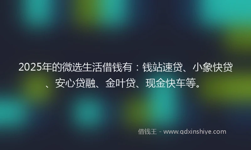 2025年的微选生活借钱有：钱站速贷、小象快贷、安心贷融、金叶贷、现金快车等。