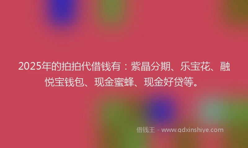 2025年的拍拍代借钱有：紫晶分期、乐宝花、融悦宝钱包、现金蜜蜂、现金好贷等。