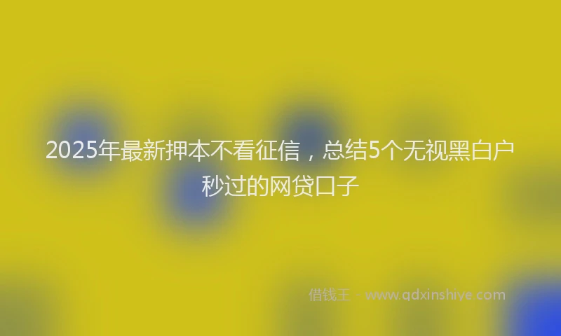 2025年最新押本不看征信，总结5个无视黑白户秒过的网贷口子