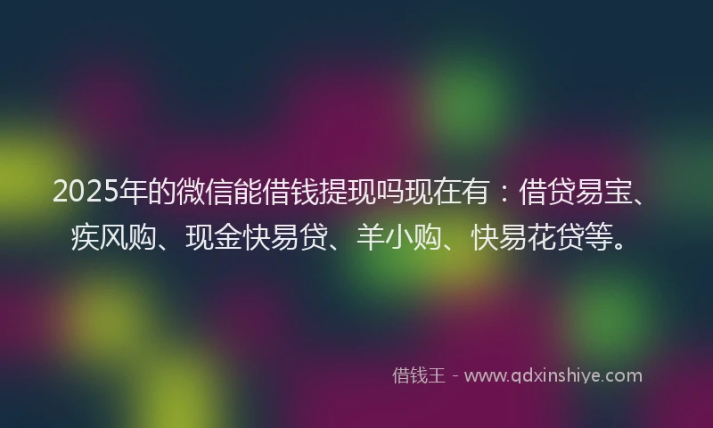 2025年的微信能借钱提现吗现在有：借贷易宝、疾风购、现金快易贷、羊小购、快易花贷等。