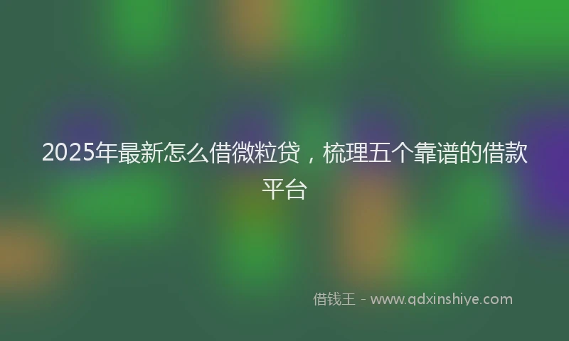 2025年最新怎么借微粒贷，梳理五个靠谱的借款平台