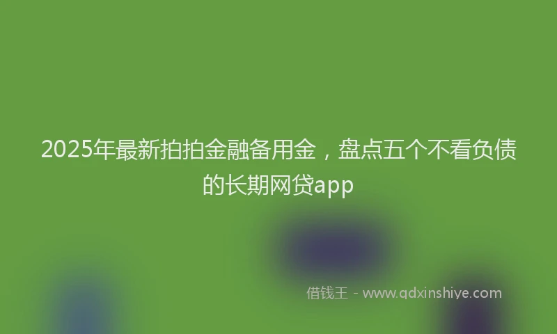 2025年最新拍拍金融备用金，盘点五个不看负债的长期网贷app