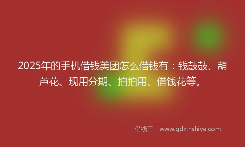 2025年的手机借钱美团怎么借钱有：钱鼓鼓、葫芦花、现用分期、拍拍用、借钱花等。