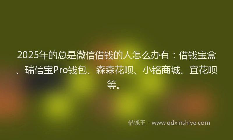 2025年的总是微信借钱的人怎么办有：借钱宝盒、瑞信宝Pro钱包、森森花呗、小铭商城、宜花呗等。