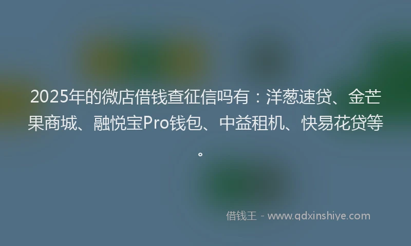 2025年的微店借钱查征信吗有：洋葱速贷、金芒果商城、融悦宝Pro钱包、中益租机、快易花贷等。