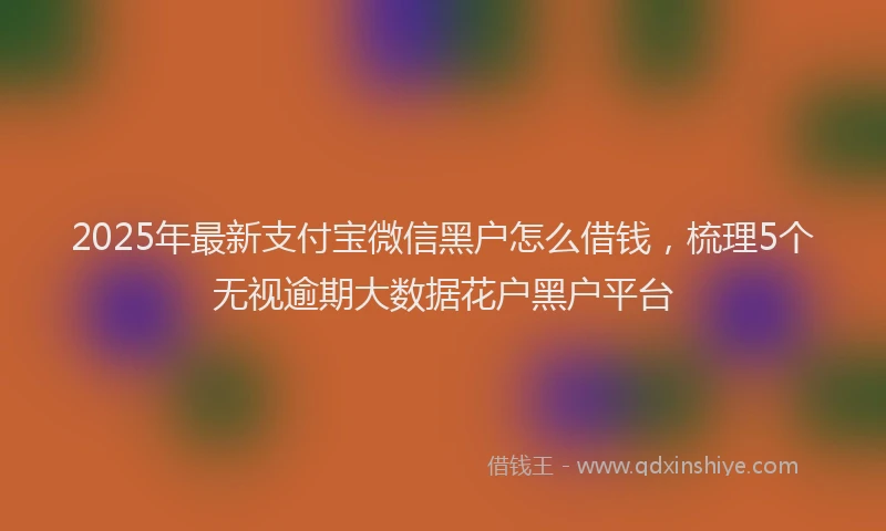2025年最新支付宝微信黑户怎么借钱，梳理5个无视逾期大数据花户黑户平台