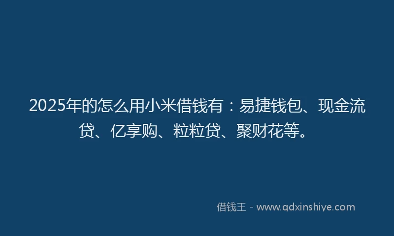 2025年的怎么用小米借钱有：易捷钱包、现金流贷、亿享购、粒粒贷、聚财花等。