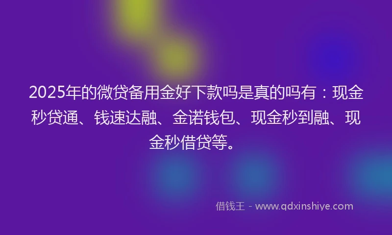 2025年的微贷备用金好下款吗是真的吗有：现金秒贷通、钱速达融、金诺钱包、现金秒到融、现金秒借贷等。