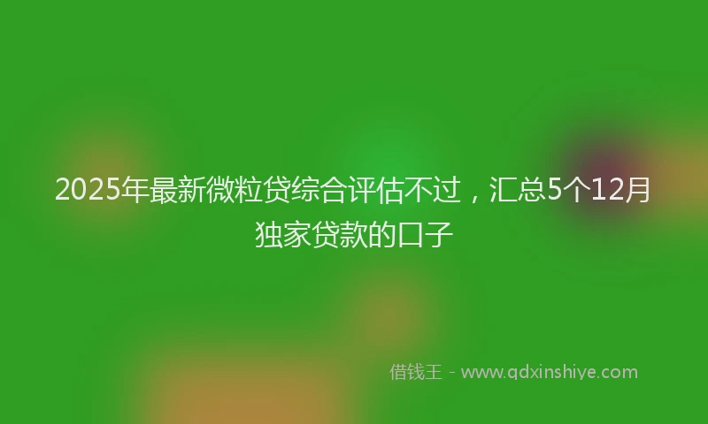 2025年最新微粒贷综合评估不过，汇总5个12月独家贷款的口子