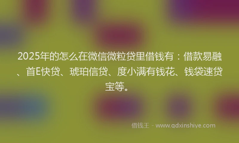 2025年的怎么在微信微粒贷里借钱有：借款易融、首E快贷、琥珀信贷、度小满有钱花、钱袋速贷宝等。