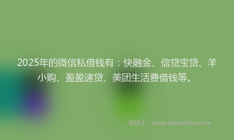 2025年的微信私借钱有：快融金、信贷宝贷、羊小购、盈盈速贷、美团生活费借钱等。