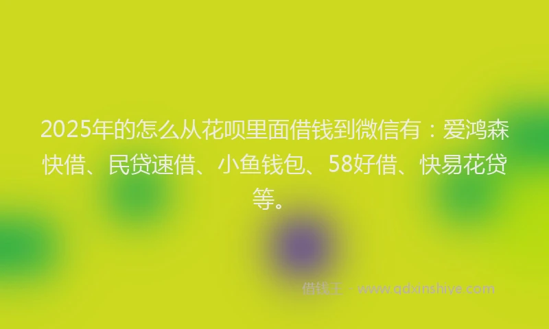 2025年的怎么从花呗里面借钱到微信有：爱鸿森快借、民贷速借、小鱼钱包、58好借、快易花贷等。