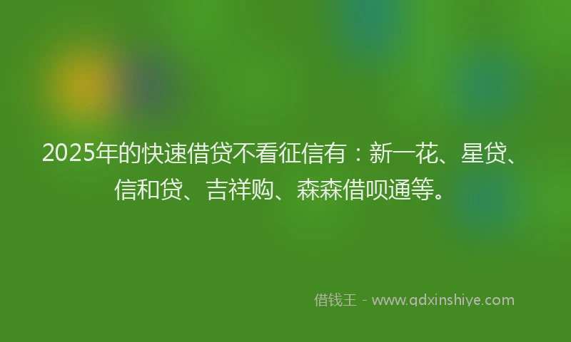 2025年的快速借贷不看征信有：新一花、星贷、信和贷、吉祥购、森森借呗通等。