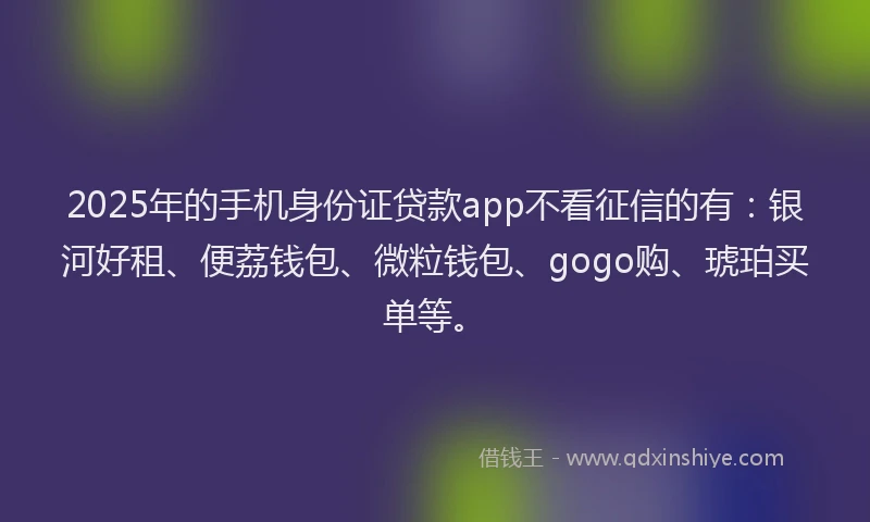 2025年的手机身份证贷款app不看征信的有：银河好租、便荔钱包、微粒钱包、gogo购、琥珀买单等。