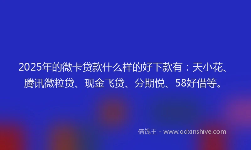2025年的微卡贷款什么样的好下款有：天小花、腾讯微粒贷、现金飞贷、分期悦、58好借等。