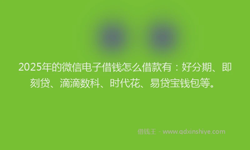 2025年的微信电子借钱怎么借款有：好分期、即刻贷、滴滴数科、时代花、易贷宝钱包等。