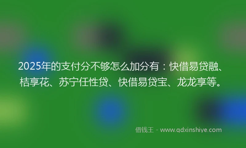 2025年的支付分不够怎么加分有：快借易贷融、桔享花、苏宁任性贷、快借易贷宝、龙龙享等。
