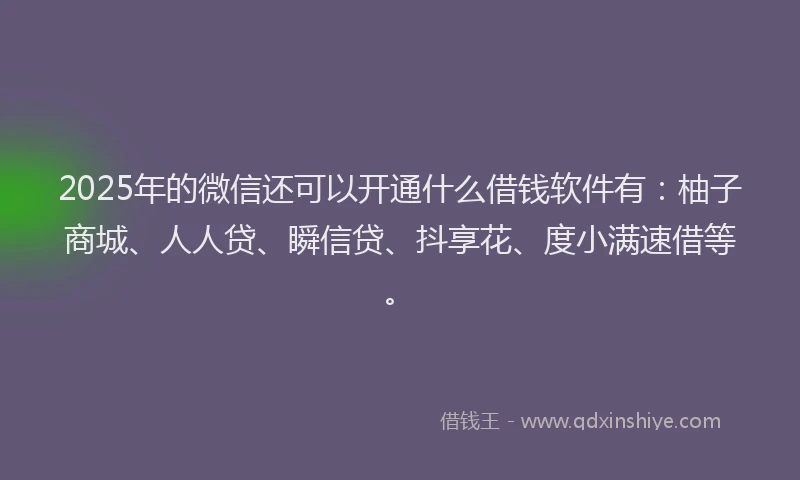 2025年的微信还可以开通什么借钱软件有：柚子商城、人人贷、瞬信贷、抖享花、度小满速借等。