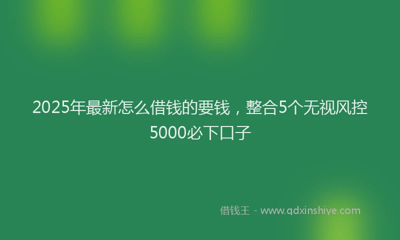 2025年最新怎么借钱的要钱，整合5个无视风控5000必下口子