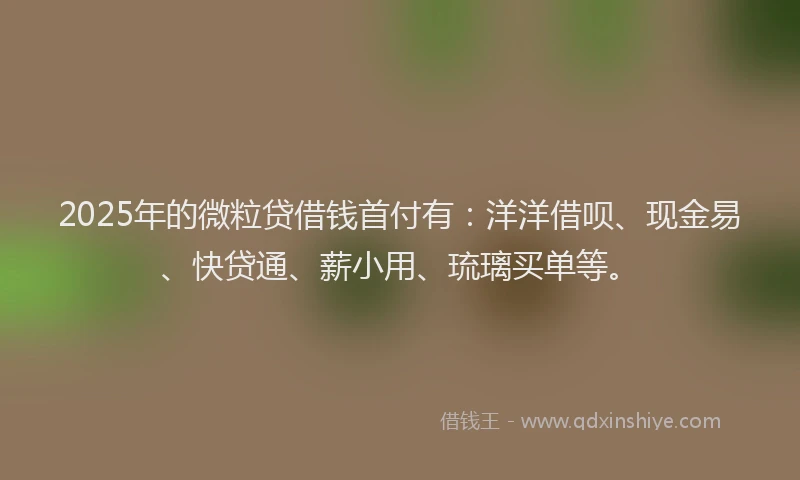2025年的微粒贷借钱首付有：洋洋借呗、现金易、快贷通、薪小用、琉璃买单等。