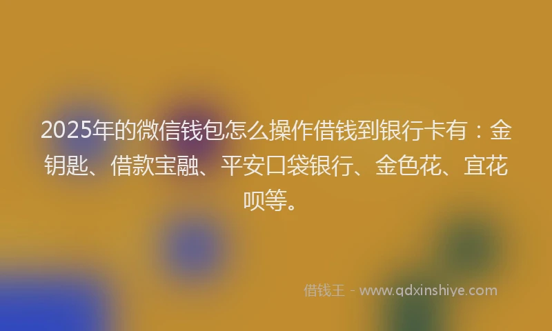 2025年的微信钱包怎么操作借钱到银行卡有：金钥匙、借款宝融、平安口袋银行、金色花、宜花呗等。