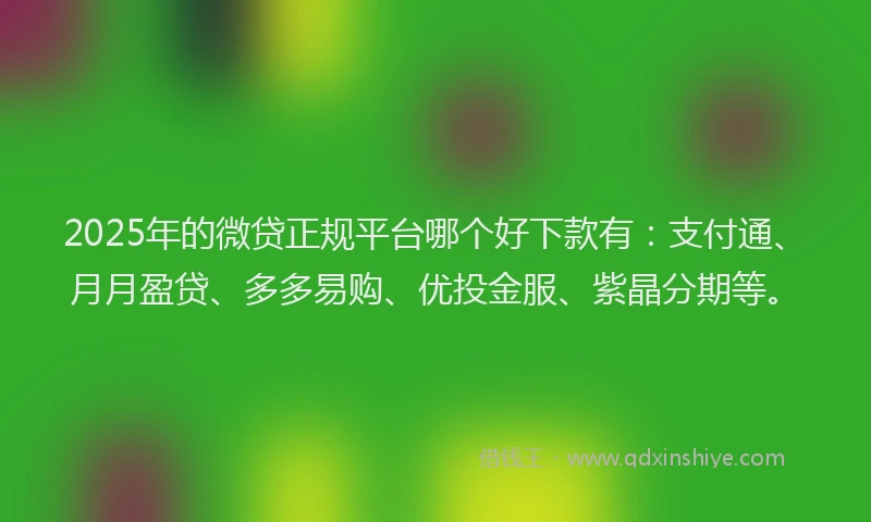 2025年的微贷正规平台哪个好下款有：支付通、月月盈贷、多多易购、优投金服、紫晶分期等。
