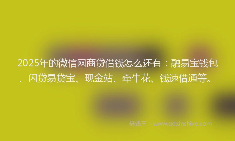 2025年的微信网商贷借钱怎么还有：融易宝钱包、闪贷易贷宝、现金站、牵牛花、钱速借通等。
