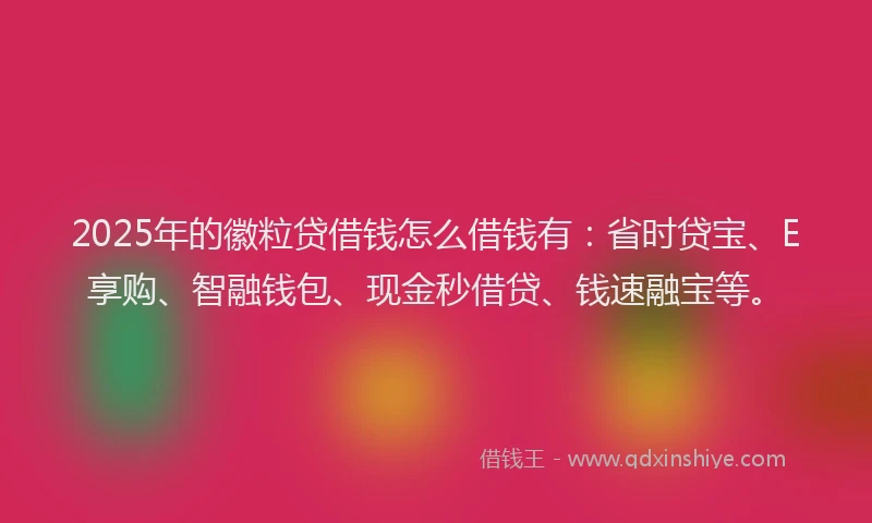 2025年的徽粒贷借钱怎么借钱有：省时贷宝、E享购、智融钱包、现金秒借贷、钱速融宝等。