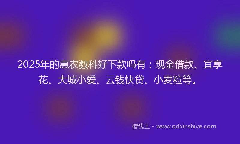 2025年的惠农数科好下款吗有：现金借款、宜享花、大城小爱、云钱快贷、小麦粒等。
