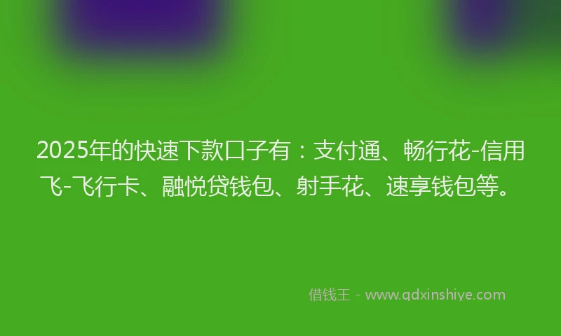 2025年的快速下款口子有：支付通、畅行花-信用飞-飞行卡、融悦贷钱包、射手花、速享钱包等。