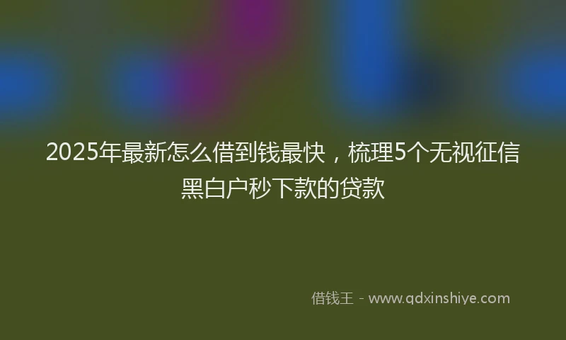 2025年最新怎么借到钱最快，梳理5个无视征信黑白户秒下款的贷款
