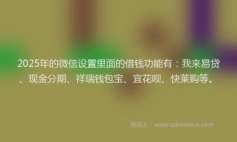 2025年的微信设置里面的借钱功能有：我来易贷、现金分期、祥瑞钱包宝、宜花呗、快莱购等。