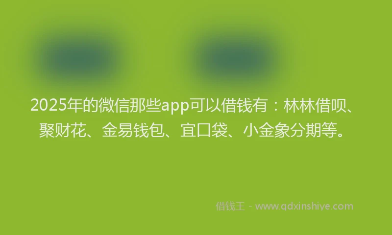 2025年的微信那些app可以借钱有：林林借呗、聚财花、金易钱包、宜口袋、小金象分期等。