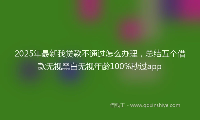 2025年最新我贷款不通过怎么办理，总结五个借款无视黑白无视年龄100%秒过app