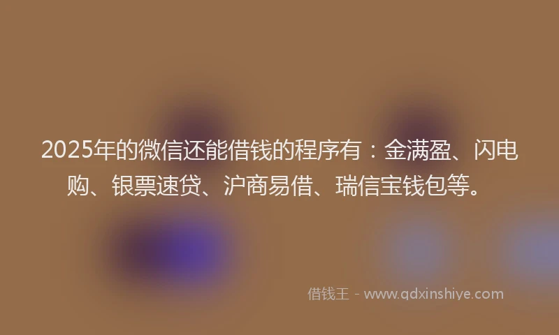 2025年的微信还能借钱的程序有：金满盈、闪电购、银票速贷、沪商易借、瑞信宝钱包等。