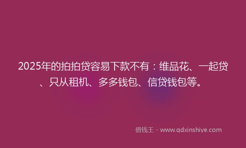 2025年的拍拍贷容易下款不有：维品花、一起贷、只从租机、多多钱包、信贷钱包等。