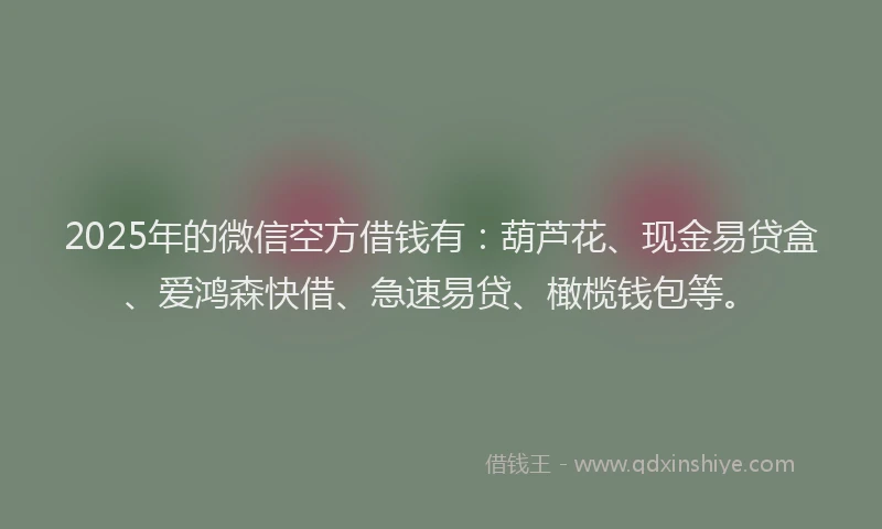 2025年的微信空方借钱有：葫芦花、现金易贷盒、爱鸿森快借、急速易贷、橄榄钱包等。