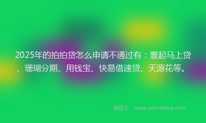 2025年的拍拍贷怎么申请不通过有：壹起马上贷、珊瑚分期、用钱宝、快易借速贷、天源花等。
