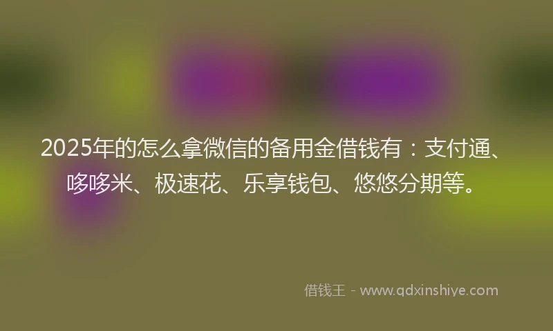2025年的怎么拿微信的备用金借钱有：支付通、哆哆米、极速花、乐享钱包、悠悠分期等。