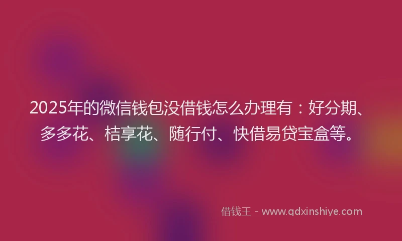 2025年的微信钱包没借钱怎么办理有：好分期、多多花、桔享花、随行付、快借易贷宝盒等。